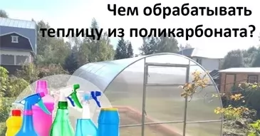 Чем обрабатывать теплицу из поликарбоната
