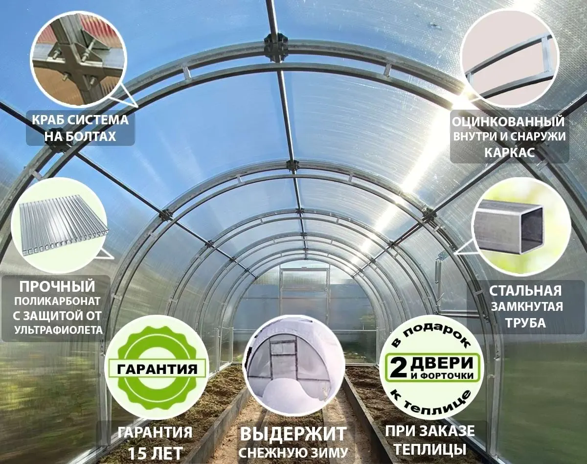 Теплицы из поликарбоната в Санкт-Петербурге Теплицы в Санкт-Петербурге